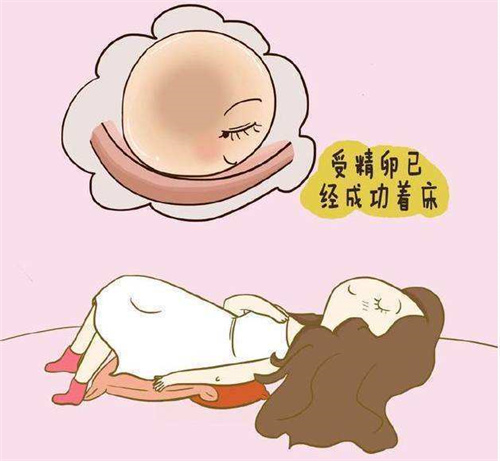 武汉供卵助孕生儿子多少钱：目前在武汉的捐卵试管婴儿服务列表! 附有如何在公立医院申请捐卵的信息。